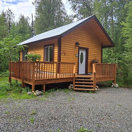 Talkeetna Fireweed Cabin 2 Buitenkant foto